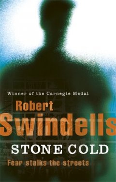 Stone Cold (Puffin Teenage Fiction)