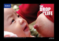 The Drop Of Life - Giọt Đời (Sách Ảnh)