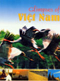 Glimpses of Việt Nam