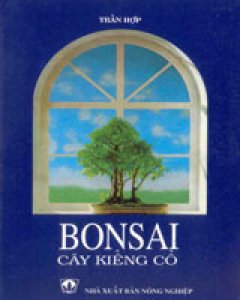 Bonsai Cây Kiểng Cổ